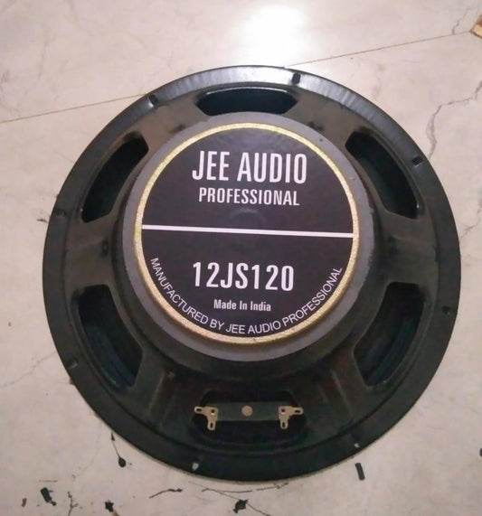 Jee Audio Professional 12PJS-100W 12-Inch Round Speaker – 100W, Black