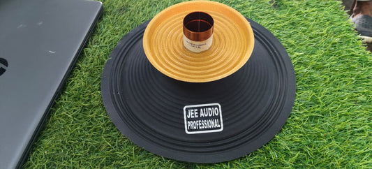 12 Inch 100 Watt Recone Kit