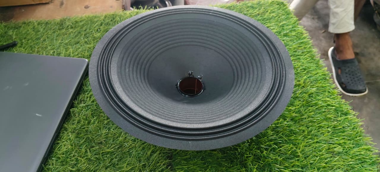 12 Inch 100 Watt Recone Kit