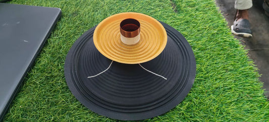 12 Inch 100 Watt Recone Kit