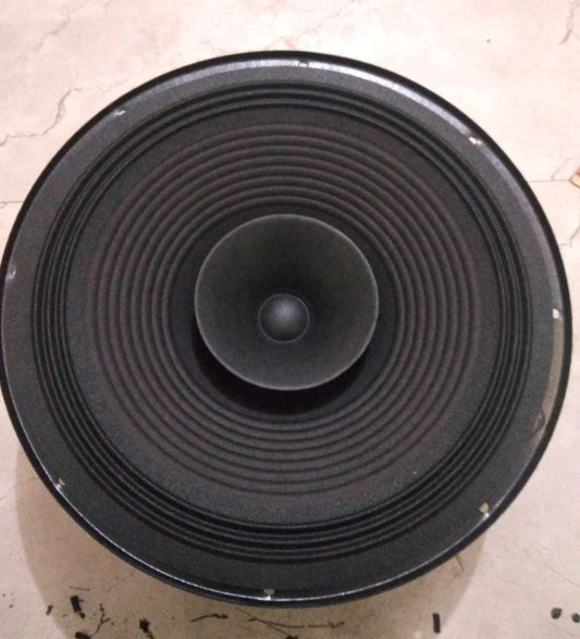 Jee Audio Professional 12PJS-100W 12-Inch Round Speaker – 100W, Black