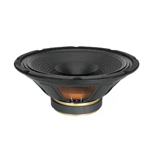 Jee Audio Professional 12PJS-100W 12-Inch Round Speaker – 100W, Black